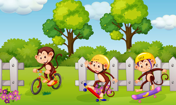 A group of playful monkey