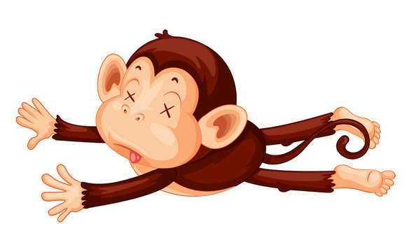 A monkey playdead on white background