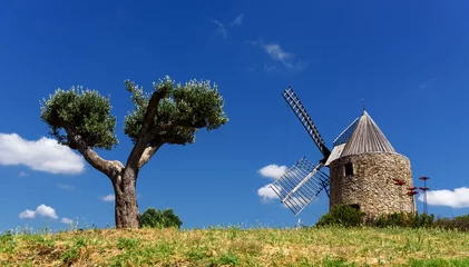 Fotobehang Molens Wiese Grimaud Moulin Saint Roch Provence  © andrzej2012