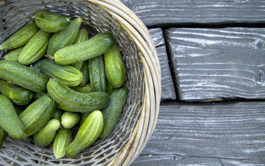 Vegetarian food, harvest, juicy vegetables, cucumbers  in a rustic  basket in wood table 