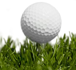 golf ball on a grass