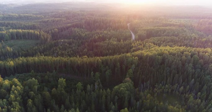 Aerial shot of forest on rolling hills and a gravel road during sunset