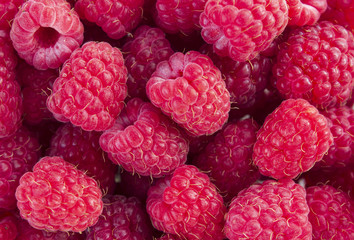 Background of ripe fresh raspberries