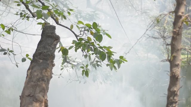 Industrial Air Pollution in Dhaka Bangladesh