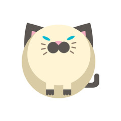 Cat flat illustration