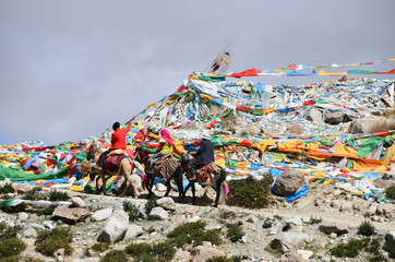 Fototapeta premium Dorchen, Tibet, China. Man with a horse making parikrama around Kailas in Tibet