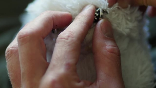 Dad is repairing the soft toy for his daughter