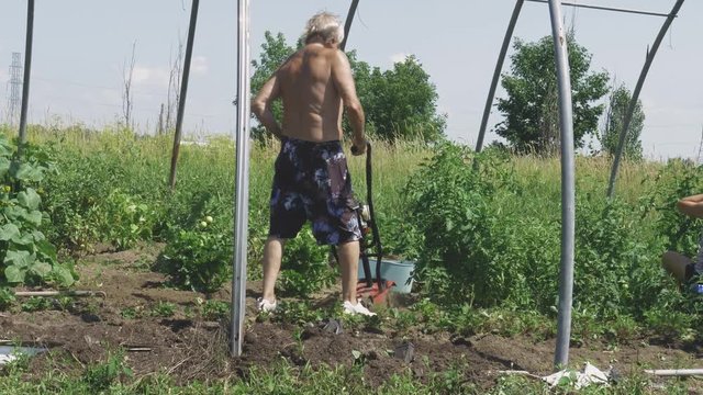 old man without t-shirt passing rototiller in the garden
