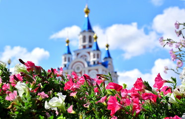 Bright flowers on the background of the church. Pink and white flowers with leaves. In the background is a beautiful slender white church with golden domes. Blue sky and white clouds.