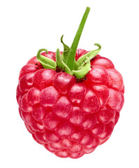 raspberries isolated on white