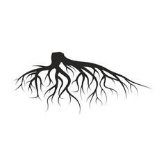 Vector Illustration : Roots design
