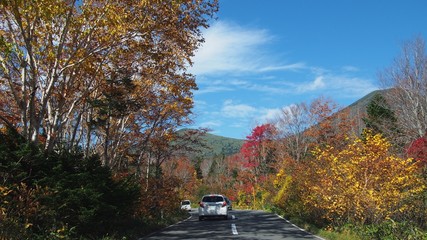 青森の紅葉