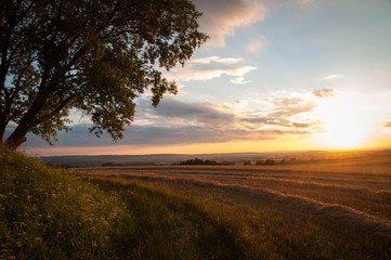 Naklejka na ściany i meble sunset over the harvested field
