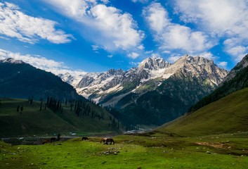 Beautiful mountain view of Sonamarg, Jammu and Kashmir state, India