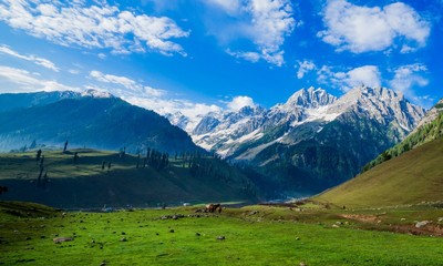 Fototapeta na wymiar Beautiful mountain view of Sonamarg, Jammu and Kashmir state, India