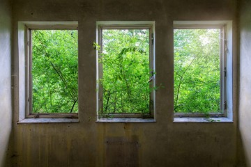 three windows view on old building with green trees