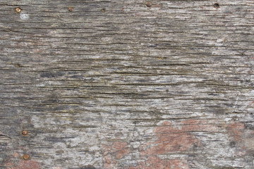 old rustic gray wood surface background