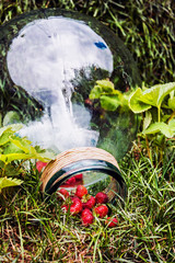 Fototapeta premium strawberry harvest and empty glass jar on the grass in the garden