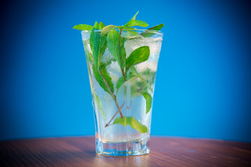 summer sweet cold compote of fresh apples with a sprig of mint