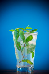 summer sweet cold compote of fresh apples with a sprig of mint