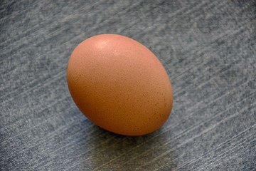 Œuf de poule .
