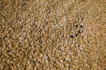 dry coffee seeds background