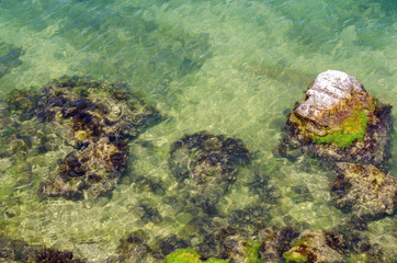 Stones and seaweed in shallow water. Russia, the Black Sea, the southern coast of the Crimean Peninsula: 06/10/2018