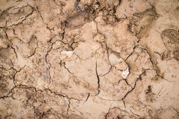 Dry cracked earth texture