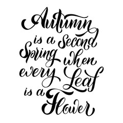 Hello Autumn lettering. Elements for invitations, posters, greeting cards. Seasons Greetings