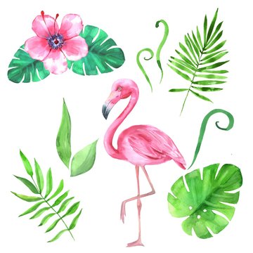 Watercolor set with tropical leaves and flamingo