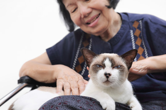 Elderly woman relaxed with her cat.
