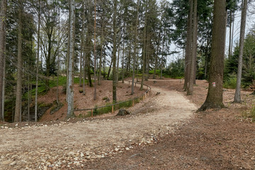 trail in forest, Prachovske skaly (Prachov Rocks)