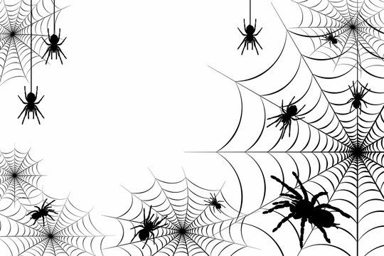 Happy Halloween spider web and spiders on orange background for greeting card, poster, banner, Vector illustration