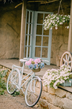 a summer village courtyard with a garden and birds
