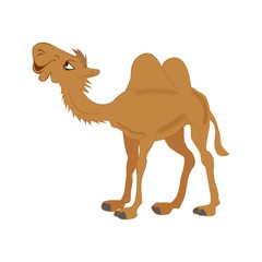 верблюд, векторная иллюстрация