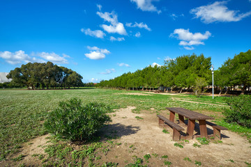 Ta Qali Park and family picnic area