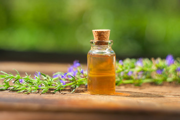 hyssop essential oil in  beautiful bottle on table