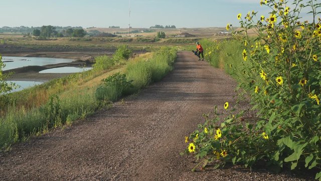 A senior man is learning to ride an electric skateboard, on a gravel path with sunflowers  - late summer on the Poudre River Trail in northern Colorado.