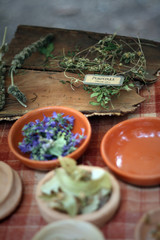 celtic medicinal herbs