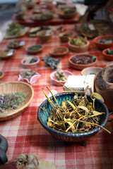 celtic medicinal herbs