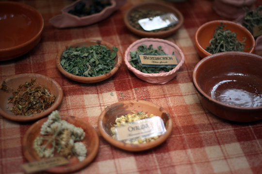celtic medicinal herbs