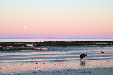 Fototapeta na wymiar Midnight sun and the moon on the beach