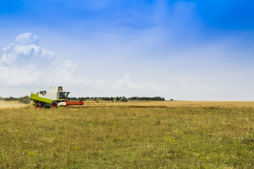 combine working in a field of wheat