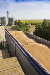 truck full of grain leaving at a silo destination