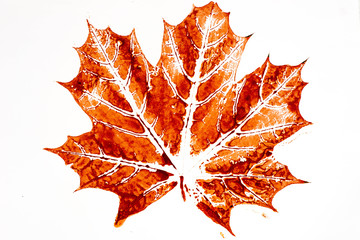 fall leaf print on paper