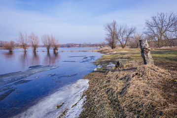 River Narew in Mazovia Province of Poland, view near Nowy Dwor Mazowiecki town