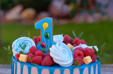 beautiful cake with number one for birthday