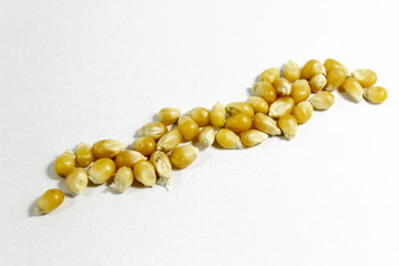 Clear shot of diagonal positioned corn seeds on white background