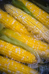 Corn cobs boiling in hot water. 