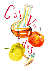 Watercolor hand drawn expressive illustration with glass of calvados and apples - obrazy, fototapety, plakaty